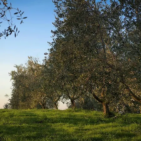 Bio Casale Degli Orti Bauernhof